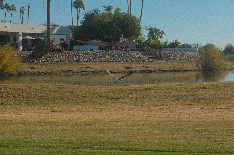 McCormick Ranch