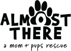Almost There Rescue logo